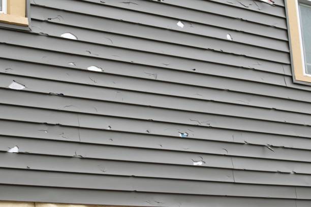 Professional Siding in Hooper, NE