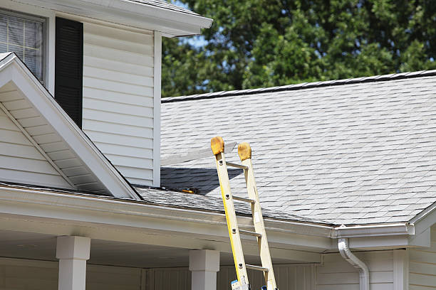 Affordable Siding Repair and Maintenance Services in Hooper, NE